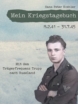 cover image of Mein Kriegstagebuch
